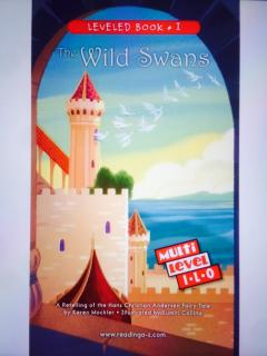 The Wild Swans-芋头