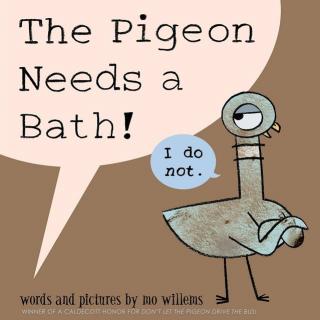 【艾玛读绘本】The Pigeon Needs a Bath 磨耳朵
