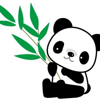 我是国宝🐼🐼🐼