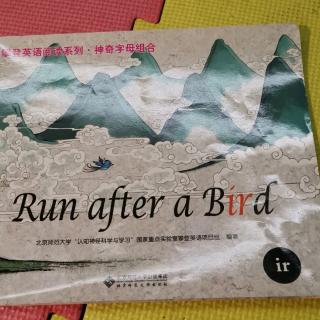 Run after a Bird