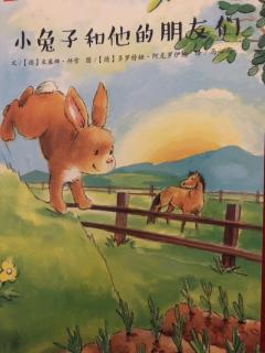彩虹桥系列-小兔子和他的朋友们