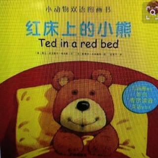 晚安故事《红床上的小熊》~Jonsen老师
