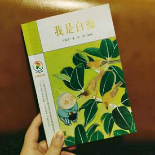 王淑芬《我是白痴》19.不可以轻视白痴