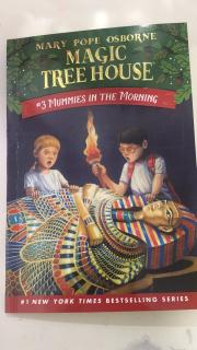 Magic Tree House 3