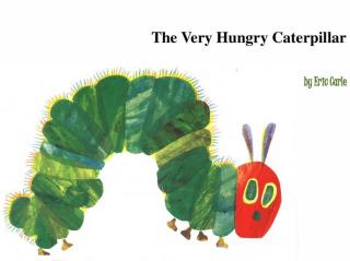 睡前故事-the very hungry caterpillar