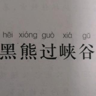 黑熊过峡谷