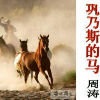 林迅樊《巩乃斯的马🐎》