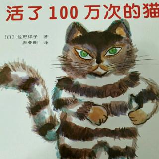 活了100次的猫