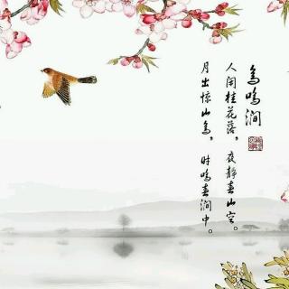 ［又又读诗·春］39.鸟鸣涧（王维）