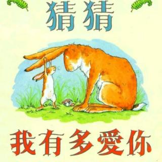 《猜猜我有多爱你》