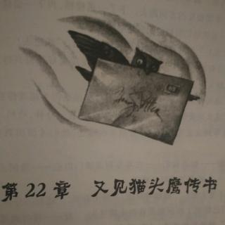 第22章.又见猫头鹰传书