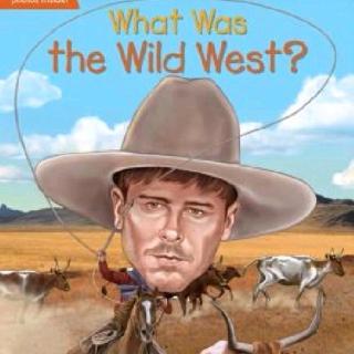 What was the wild west?C8-9