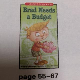 Brad Needs A Budget