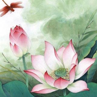 第3课 荷花(叶圣陶)