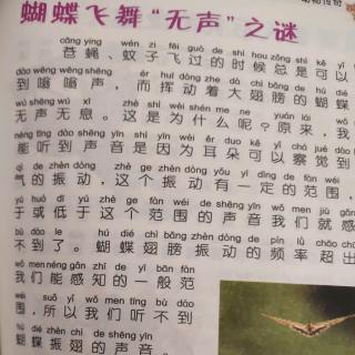 蝴蝶飞舞无声之谜