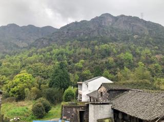 六十四《这片草地真美丽》