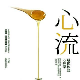 《心流-最优体验心理学》第四章如何在日常生活中寻找心流（下）