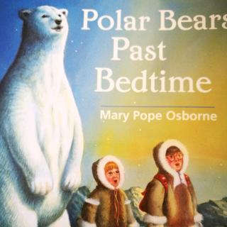 Polar Bears Past Bedtime(7)