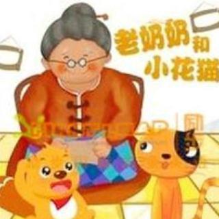 【迪宝教育】睡前故事：《老奶奶和小花猫》
