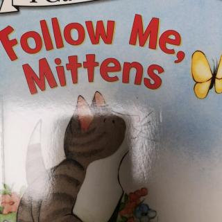 33-Follow Me,Mittens