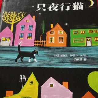 宜霖宝贝讲故事第187天：《一只夜行猫》