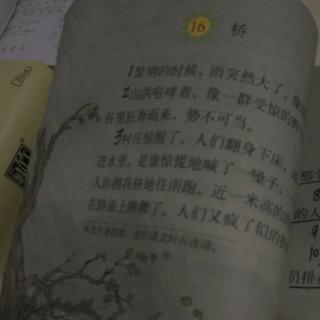 16课  《桥》