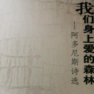 《我们身上爱的森林》阿多尼斯