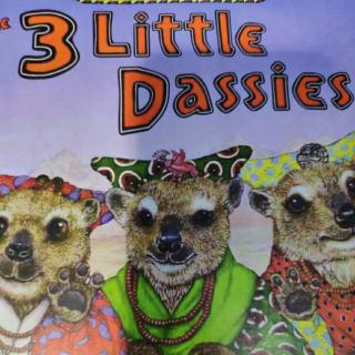 3 Little Dassies