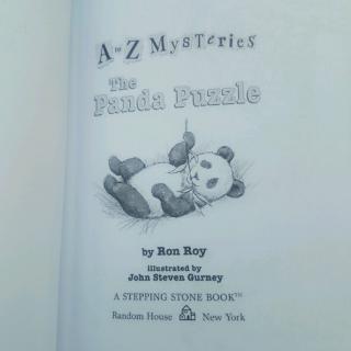 The Panda Puzzle 44