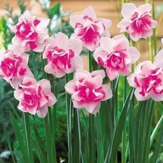 19.苟或非义而动,背理而行\/以恶为能,忍作残害