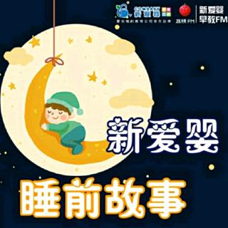 晚安，猫头鹰|一天一个睡前故事