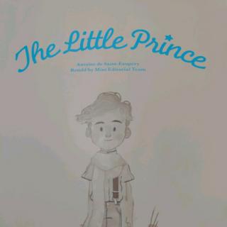 The Little Prince 8