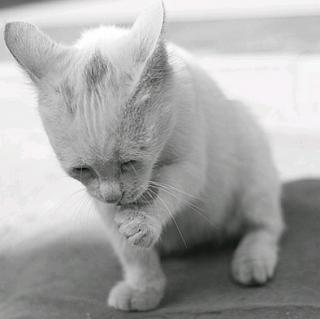 来日方长,后会无期