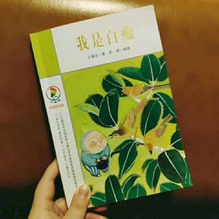 王淑芬《我是白痴》23.有贵宾到学校