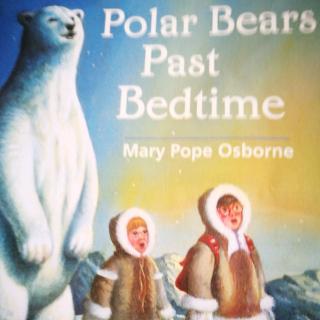 Polar Bears Past Bedtime(9)