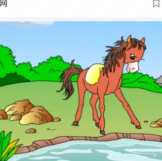 《小马🐴过河》