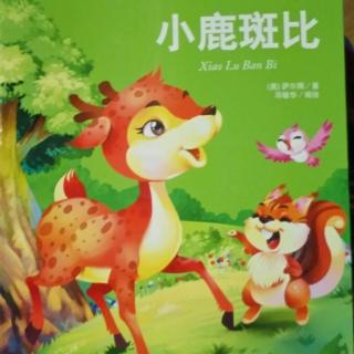 二宝妈妈讲故事《小鹿斑比.斑比出生了》