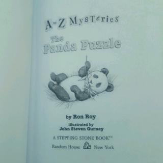 The Panda Puzzle 45