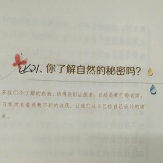 （七）顺其自然理念1、你了解自然的秘密吗！？