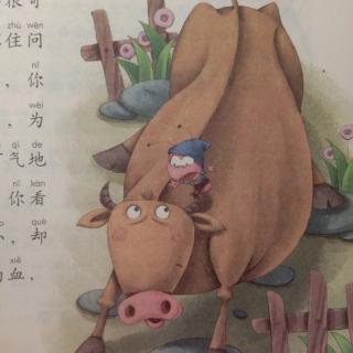 天一幼儿园金老师睡前故事《跳蚤和牛》