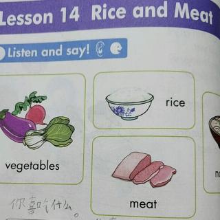 Lesson14 Rice and Meat