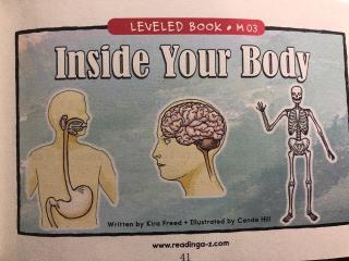 Inside Your Body