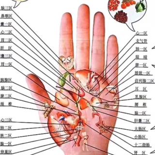 朱老师讲手诊第五课免费手指诊断法