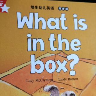 I wish l was a bat.What is in the box?