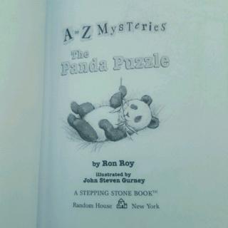 The Panda Puzzle 46