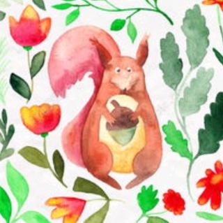 【故事318】供销幼儿园晚安故事《分享花香的小松鼠》