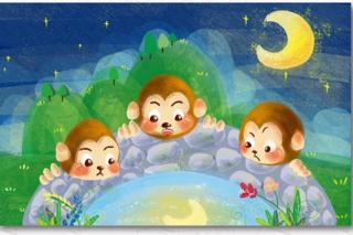 宝宝睡前故事《猴子捞月》