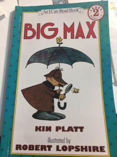 Big Max (1)