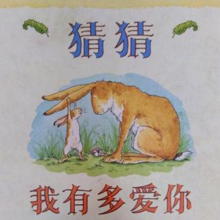 猜猜我有多爱你