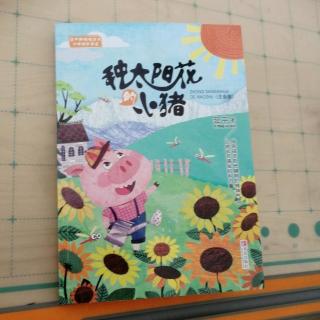 第219天《小鸭兄弟》